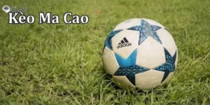 keo-ma-cao-7m-2